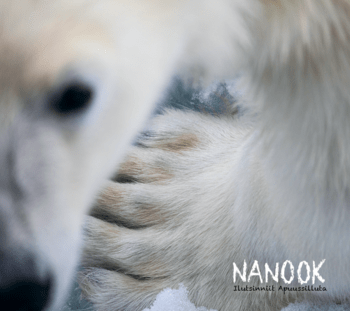 NANOOK - Ilutsinniit Apuussilluta CD (2022)