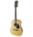 Ibanez PF1512NT 12-strenget